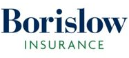 Borislow Insurance
